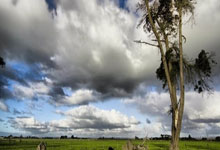 开云体育官网-高尔夫选手勇夺冠军，风采无限