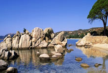 开云体育-布宜诺斯艾利斯独立迎战阿尔艾因，防守反击或成致胜关键