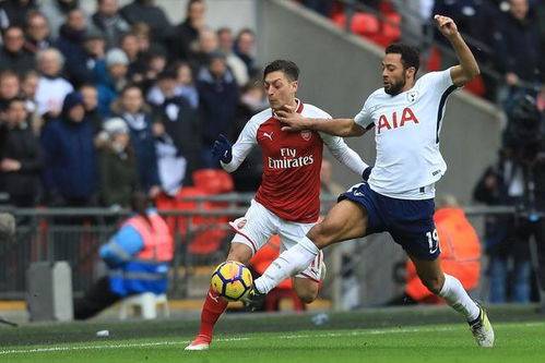 关于纽卡斯尔遭遇失利，保级前景黯淡的信息