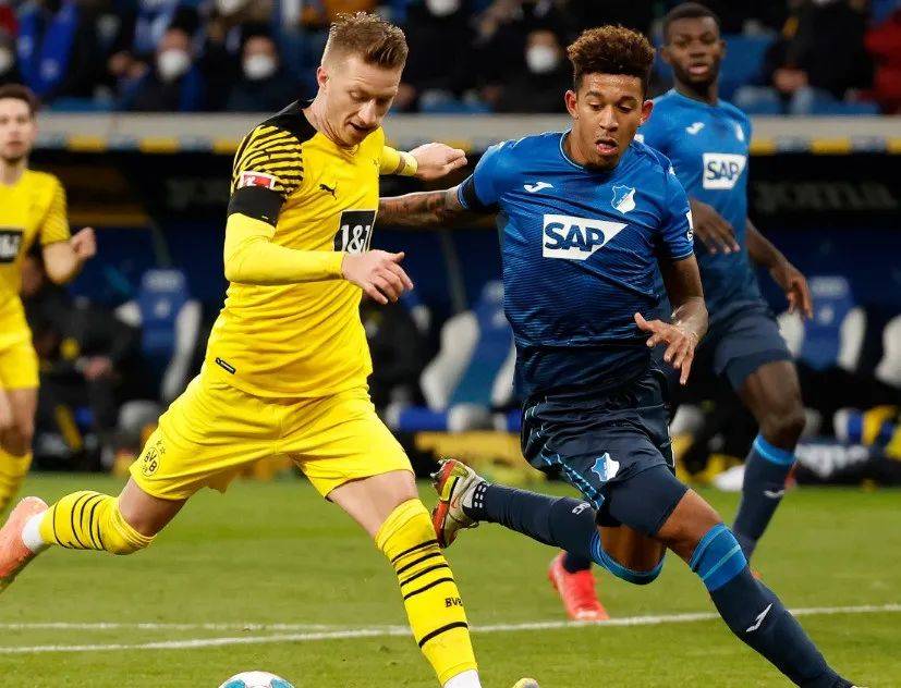 勒沃库森主场淘汰霍芬海姆，备战对阵门兴比赛的简单介绍