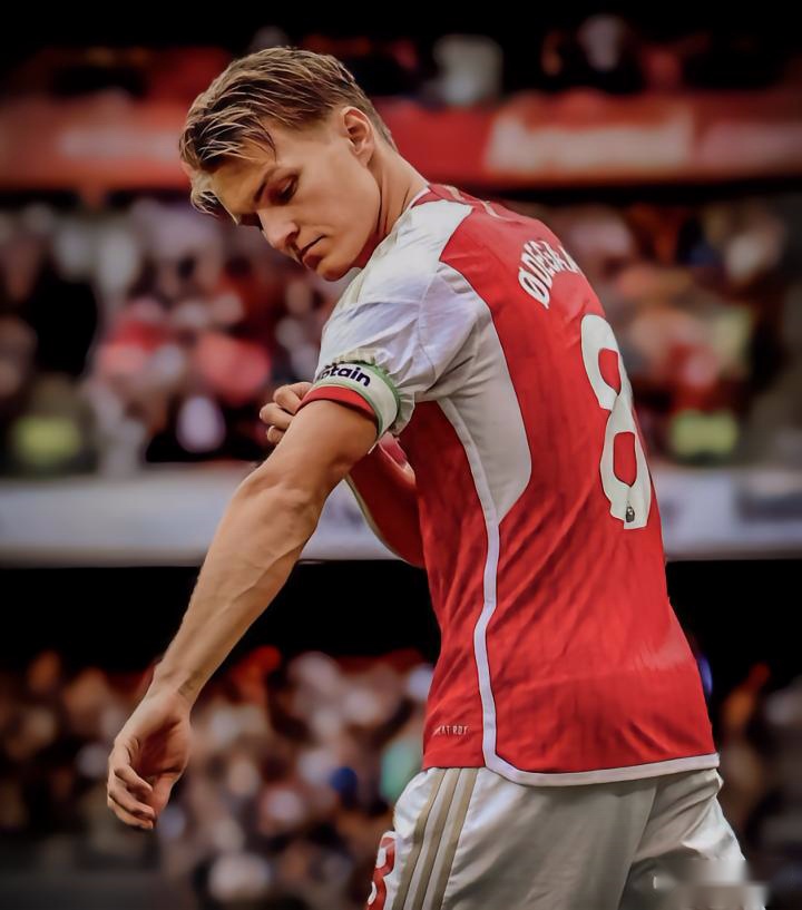 挪威队逆转胜利，瑞典队坚决守卫主场荣誉的简单介绍