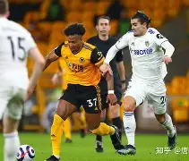 约维尔城队突然走强，掀起探花热潮的简单介绍