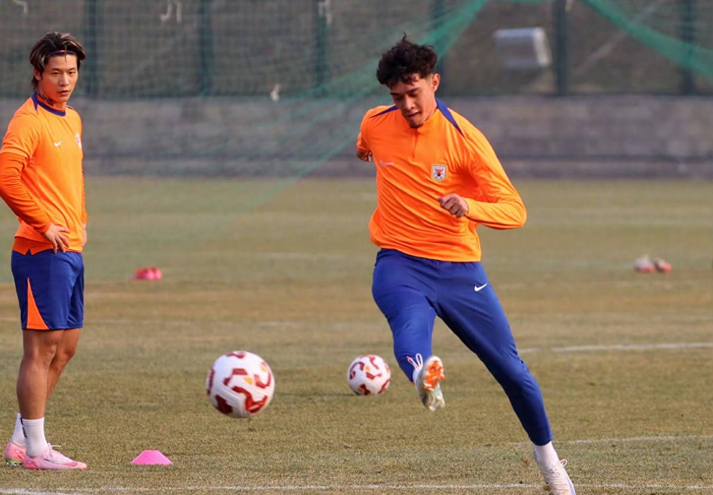 力拼补强！球队引进国内外新援的简单介绍