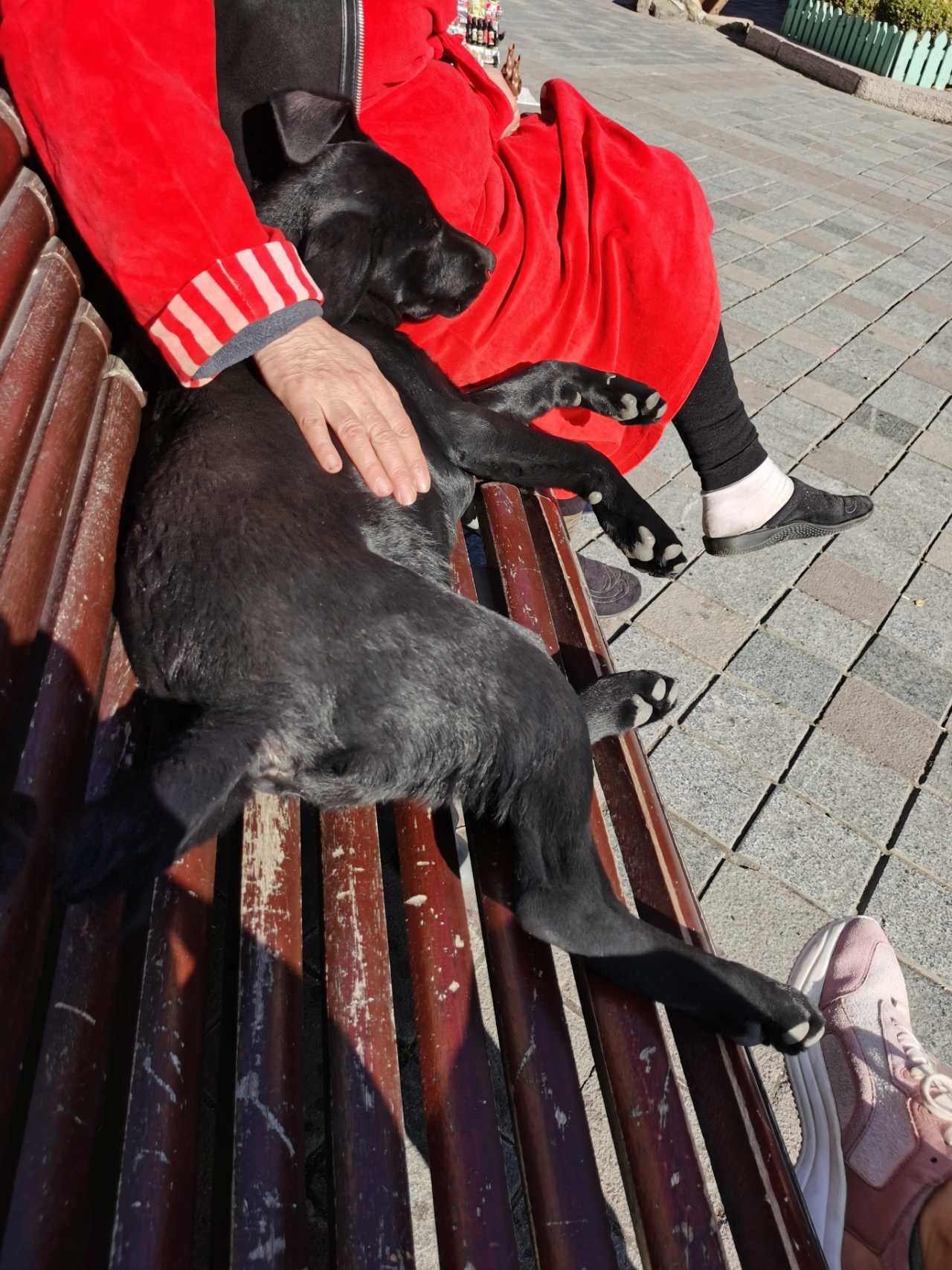 格鲁吉亚女足面对哈萨克斯坦队的激战