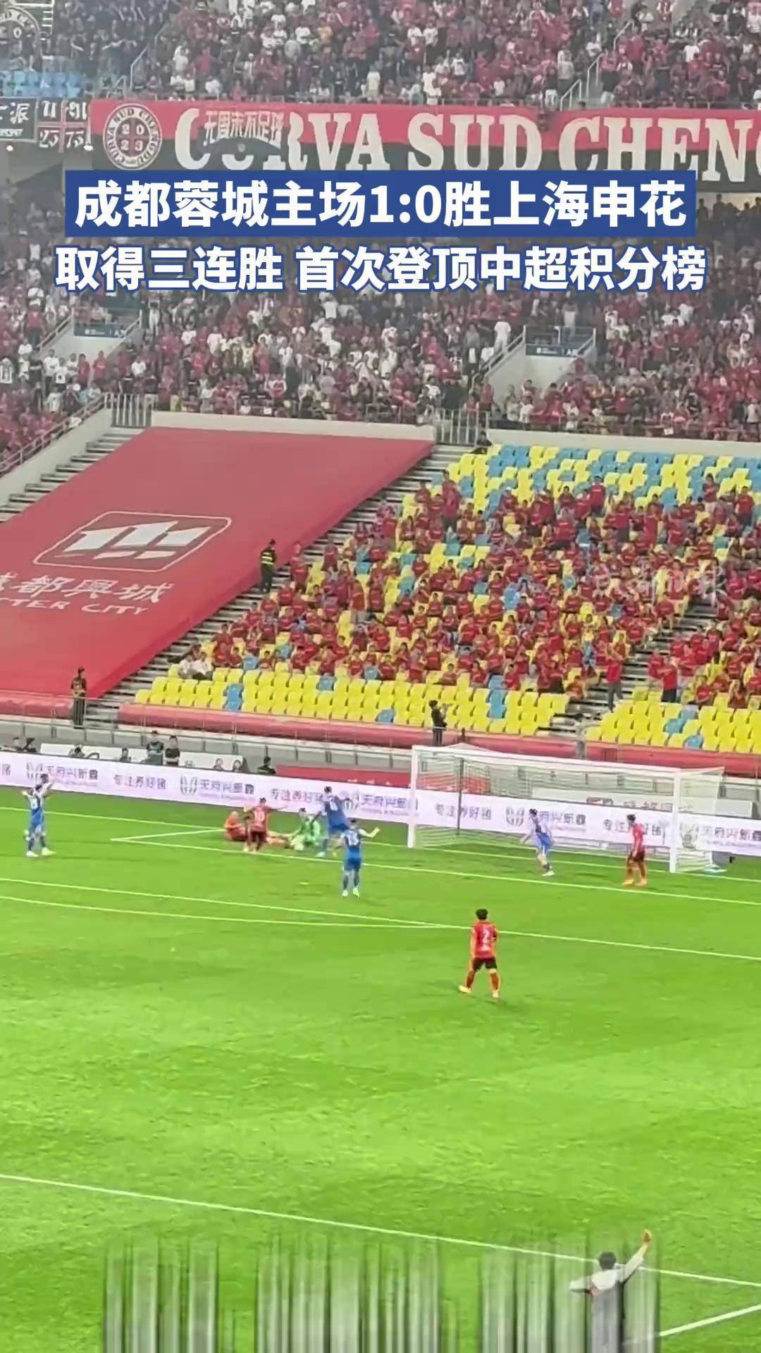 申花客场战胜建业，喜迎两连胜